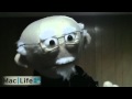 The Truth About Android with Walt Mosspuppet 