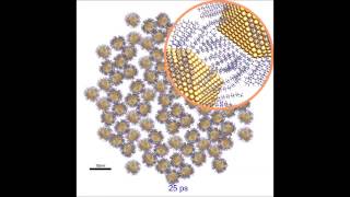An innovative device studies gold nanoparticles in depth
