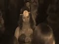baile sexy dance pepon4010