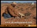 عيال الصقور ماتبور يابوخالد
