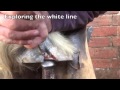 Equine Clinic Tour, a day in the life of an equine vet - Towcester Vets Equine Clinic