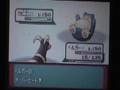 ポケットモンスターエメラルドバトルタワー戦 vsリラ(銀シンボル)
