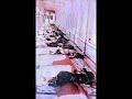 Operation Blue Star.wmv