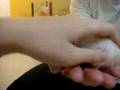 Hamster With Him