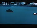 gears-of-war-glitches-4-old.html