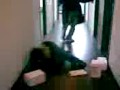 VIDEOS GRACIOSOS-el pie-TACCONI ...