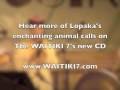 The WAITIKI 7 Present: The Enchanting Bird Calls of Lopaka Colon