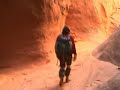 North Fork of Robbers Roost Canyon