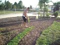 Faca plantando leivas de grama no estágio 2009!