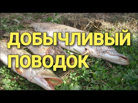 Кружки оснастка своими руками Кружки оснастка своими руками