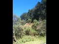 BEBETO TIROLESA.MOV