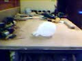 Oxy Acetylene bomb Oxy Acetylene bomb