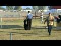 videos de Yuma Day 1 UB 08