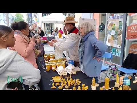 Vignette d'aperçu de la vidéo