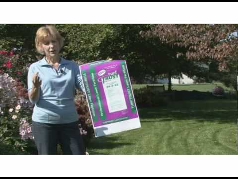 how to fertilize turf