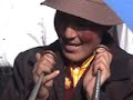 LHASA TIBET LONG HORN
