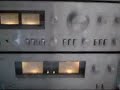 Polyvox 5000