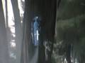 videos de PVC Rocket Part 2