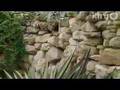 Riggan Bowles garden: Central Texas Gardener