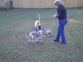 Abby & Millie Hoop Tricks