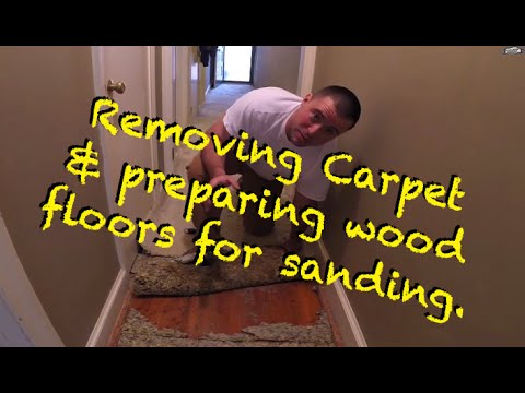 how to remove wood stain from carpet