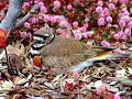 Creation\