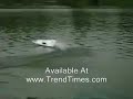 Twin Motor RC Boat Toy Is Great For Everyone Twin Motor RC Boat Toy Is Great For Everyone