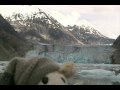Sheepie Lamb in Alaska_0003.wmv