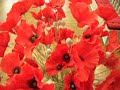 Remembrance Sunday - The Last Post