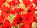 Remembrance-Sunday-T