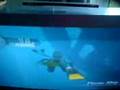 videos de Endless Ocean - Orca Encounter