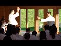Aikido Christian Tissier Wels 2008