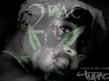 2Pac Shakur - Homeboys (remix) 2008