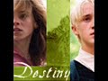 The Love Story Between Draco And Hermione
