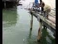 pulau jemur 15 dis 07