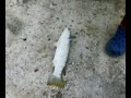 pulau jemur 15 dis 07