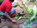 Lahu Fishing Techniques