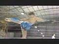 FUSIÓN DEPORTIVA - Fer Díaz (patinaje sobre hielo)