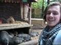 Botshing TV - Episode 56 - Wildpark Schwarze Berge Special (english)