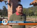 DIEGO CARDOEN, NOTA: AVANCES EN SALUD VICHUQUÉN DIEGO CARDOEN, NOTA: AVANCES EN SALUD VICHUQUÉN