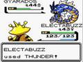 Pokemon Gold Elite 4 - Part 2