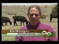 Environmental Stewardship - Diablo Trust Ranches - \