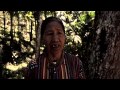 Collection - Tribal sounds of the Philippines