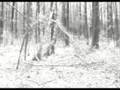 Hel (Trailer)