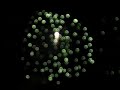 Closing Fireworks for Live On The Levee