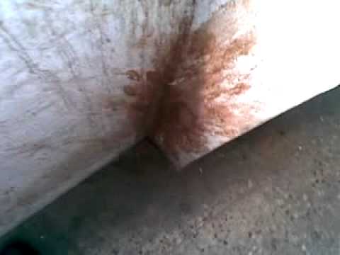 how to sign up in lic of india