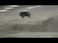 HPI SAVAGE FLUX  Watch in HD