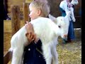 Geiten boerderij het Geertje Geiten boerderij het Geertje
