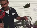 Planting a pond