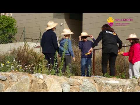 Tanit didàctica i difusió cultural - Tanit didàctica i difusió cultural -